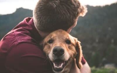 Online περιοδικό CricksyDog 19 Οι επιστήμονες Υποστηρίζουν ότι τα Σκυλιά Μισούν τις Αγκαλιές. Είναι Λάθος Άποψη. Δείτε Εδώ το Γιατί.