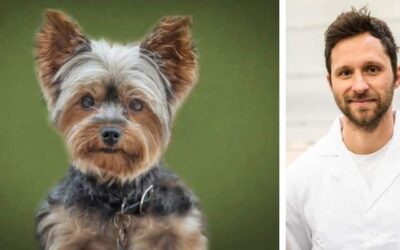 Online περιοδικό CricksyDog 16 Το Yorkie μου έχει πολύ φαγούρα. Έχω δοκιμάσει πολλά προϊόντα που προτείνονται στο διαδίκτυο. Κανένας όμως δεν βοήθησε. Παρακαλώ βοηθήστε με.