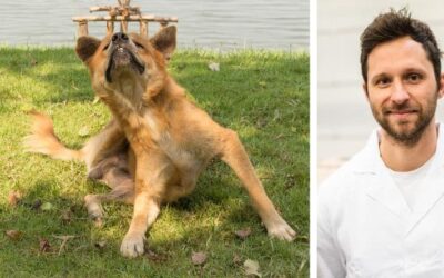 Τι μπορώ να κάνω για να σταματήσω το μάσημα των ποδιών, το ξύσιμο και τα ακάρεα του δέρματος;