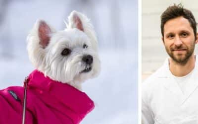 Online περιοδικό CricksyDog 19 Έχω ένα λευκό τεριέ West Highland 13 ετών που έχει κάνει διατροφή barf. Πλέον έχουμε αλλάξει τροφή, αλλά ο σκύλος μου έχει πολλά εξανθήματα. Τι πρέπει να κάνω;