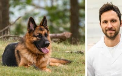 Online περιοδικό CricksyDog 17 Ο 12χρονος Γερμανικός Ποιμενικός μου μερικές φορές τρώει τα περιττώματά του αμέσως μετά την κένωση. Τι πρέπει να κάνω;