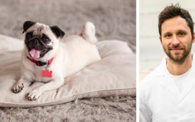 Online περιοδικό CricksyDog 21 Ο σκύλος μου έχει μαλακά κόπρανα εδώ και 3 μήνες, τρώει σκυλοτροφή και ξύνει τα μπροστινά του πόδια. Τι πρέπει να κάνω;