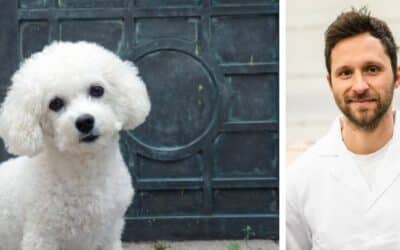 Online περιοδικό CricksyDog 20 Παμίκα, ο επιλεκτικός μπιχόν