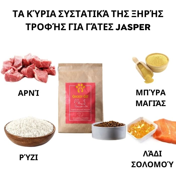 Jasper Ξηρά Τροφή για Γάτες με Αρνί 3 Jasper Ξηρά Τροφή για Γάτες με Αρνί - Image 3