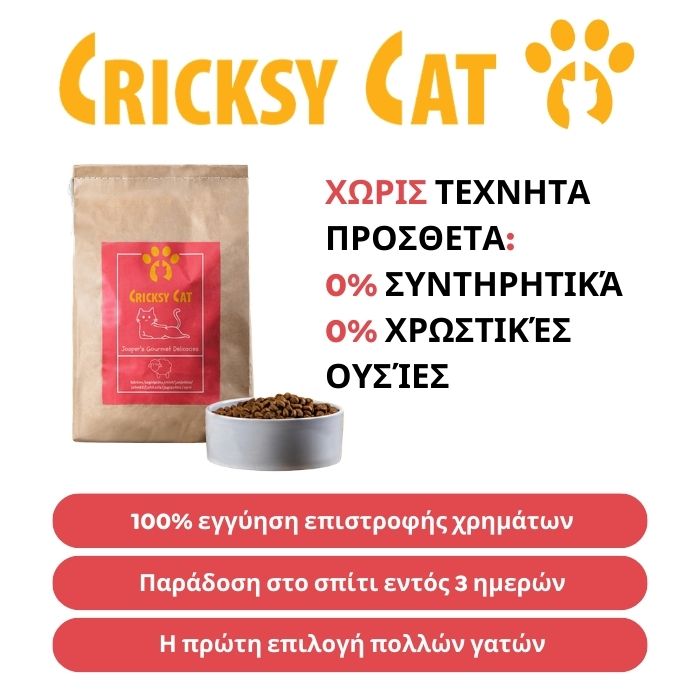 Jasper Ξηρά Τροφή για Γάτες με Αρνί 7 Jasper Ξηρά Τροφή για Γάτες με Αρνί - Image 7