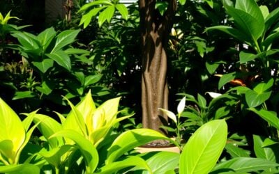 Φυτά και τοξικότητα για γάτες – Όλα όσα πρέπει να ξέρεις γι’ αυτό!