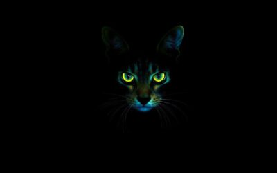 Γατίσιος μπλογκ 18 Όραση γάτας στο σκοτάδι – Όλα όσα πρέπει να ξέρεις!