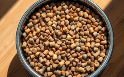 Γατίσιος μπλογκ 18 Έτρωγε μόνο κονσέρβες – τώρα και ξηρή τροφή