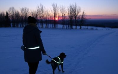 Γιατί το ανακλαστικό λουρί είναι ιδανικό για χειμερινές βόλτες;