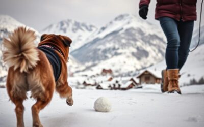 Χειμερινή λίστα εμπειριών για σκύλους – κοινές στιγμές