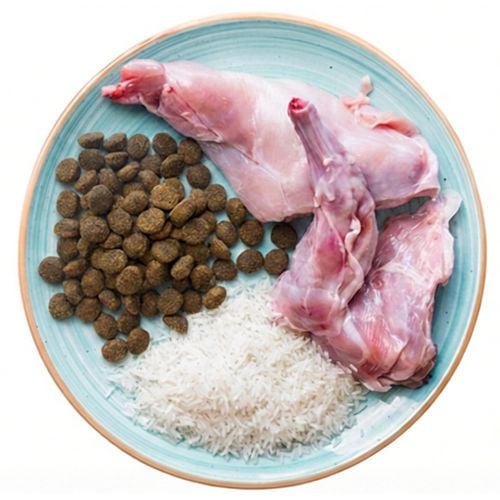 THNY dog food ingredients