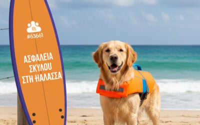 Καρδιακές Παθήσεις στα Σκυλιά: Ένα Σημαντικό Θέμα για Κάθε Ιδιοκτήτη Σκύλου 4 Παραλία και σκύλος: Ασφάλεια στο νερό – Οδηγός CricksyDog