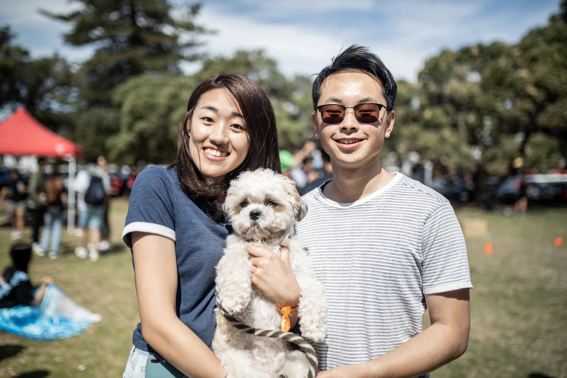 People and dogs interacting at a community dog park, highlighting the social aspects of pet ownership.