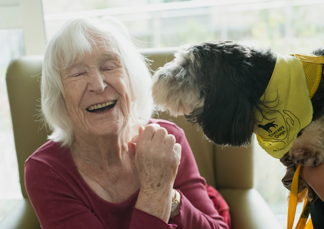 Elderly person's lap with a senior dog resting its head, illustrating the enduring love and companionship pets offer throughout life.