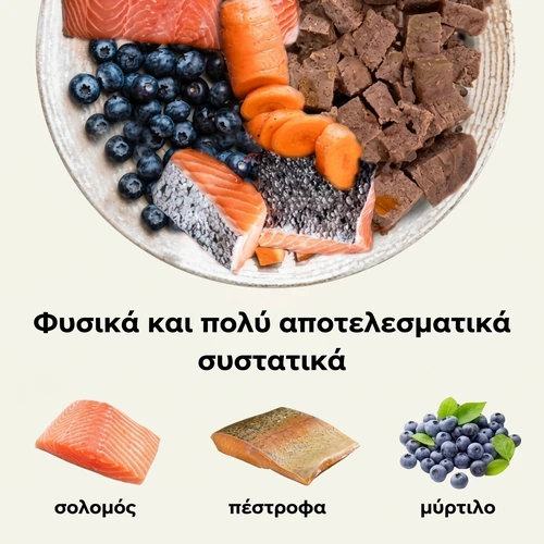 Bill υγρή τροφή για γάτες με σολομό και πέστροφα – 100 g 2 Φυσικά συστατικά - σολομός και πέστροφα