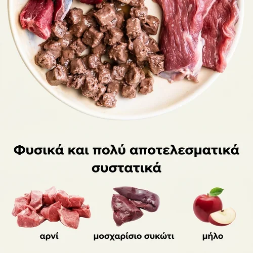 Ely υγρή τροφή για σκύλους με αρνί και μοσχαρίσιο συκώτι – 415 g 2 Ely υγρή τροφή για σκύλους με αρνί και μοσχαρίσιο συκώτι – 415 g - Εικόνα 2