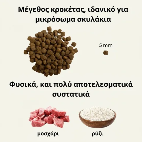 Juliet Υποαλλεργική μοσχαρίσια ξηρά τροφή για σκύλους – «εξαιρετικά μικρόκοκκη» 2 Juliet Υποαλλεργική μοσχαρίσια ξηρά τροφή για σκύλους – «εξαιρετικά μικρόκοκκη» - Εικόνα 2