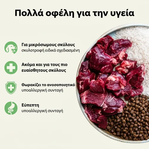 Juliet Υποαλλεργική μοσχαρίσια ξηρά τροφή για σκύλους – «εξαιρετικά μικρόκοκκη» 3 Juliet Υποαλλεργική μοσχαρίσια ξηρά τροφή για σκύλους – «εξαιρετικά μικρόκοκκη» - Εικόνα 3