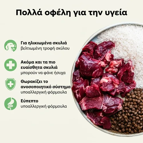 Oscar Υποαλλεργική μοσχαρίσια ξηρά τροφή για ηλικιωμένους σκύλους 3 Oscar Υποαλλεργική μοσχαρίσια ξηρά τροφή για ηλικιωμένους σκύλους - Εικόνα 3