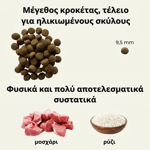Oscar Υποαλλεργική μοσχαρίσια ξηρά τροφή για ηλικιωμένους σκύλους 2 Oscar Υποαλλεργική μοσχαρίσια ξηρά τροφή για ηλικιωμένους σκύλους - Εικόνα 2