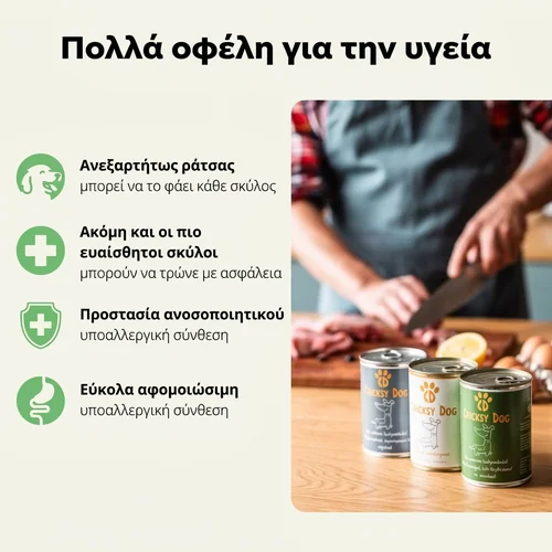 Ely Υποαλλεργική υγρή τροφή για σκύλους με σολομό – 410 g 3 Ely Υποαλλεργική υγρή τροφή για σκύλους με σολομό – 410 g - Εικόνα 3