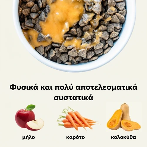 Mr. Easy «original» yummy σάλτσα για ξηρές τροφές - 425 g 3 Mr. Easy «original» yummy σάλτσα για ξηρές τροφές - 425 g - Εικόνα 3
