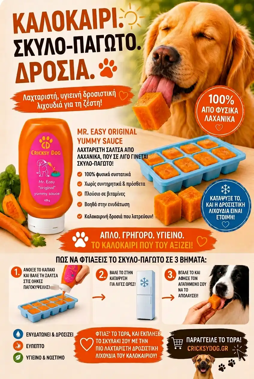 Mr. Easy «original» yummy σάλτσα για ξηρές τροφές - 425 g 2 Mr. Easy «original» yummy σάλτσα για ξηρές τροφές - 425 g - Εικόνα 2
