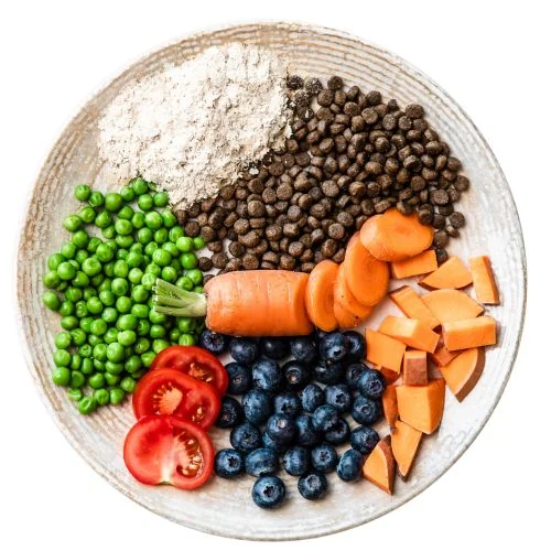 gr 2025 09 JHR dog food