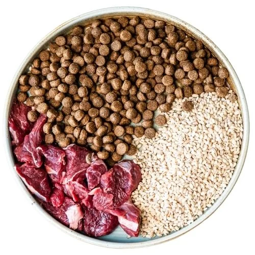 gr 2025 09 JM dog food