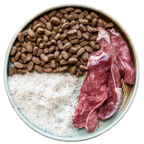 gr 2025 09 TB dog food