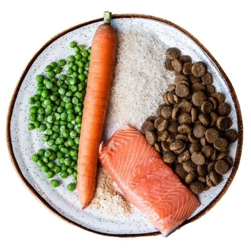 gr 2025 09 THL dog food