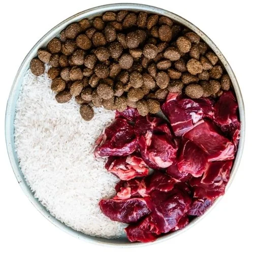 gr 2025 09 THM dog food