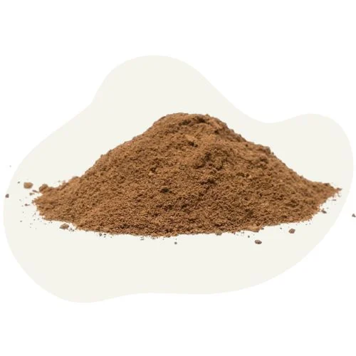 gr 2025 09 insect protein