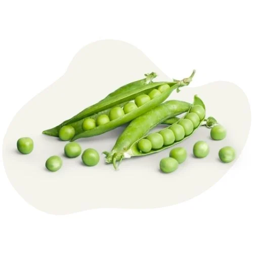 gr 2025 09 peas