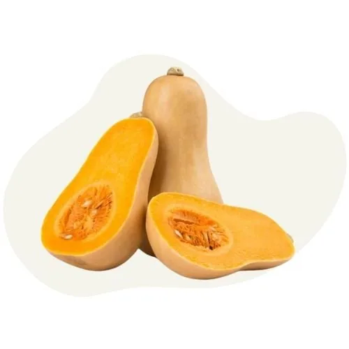 gr 2025 09 pumpkin