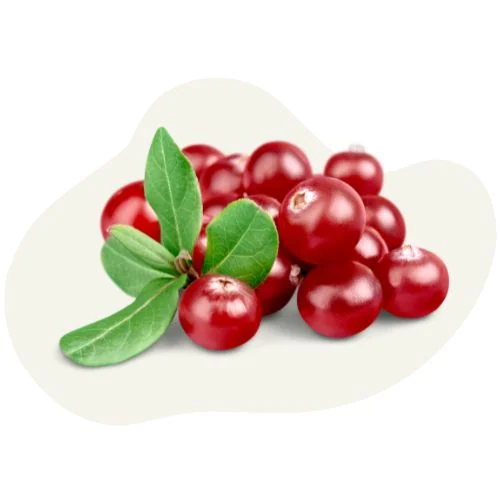 gr 2025 09 red cranberry