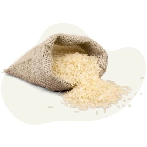 gr 2025 09 rice