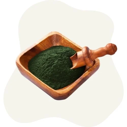 gr 2025 09 spirulina