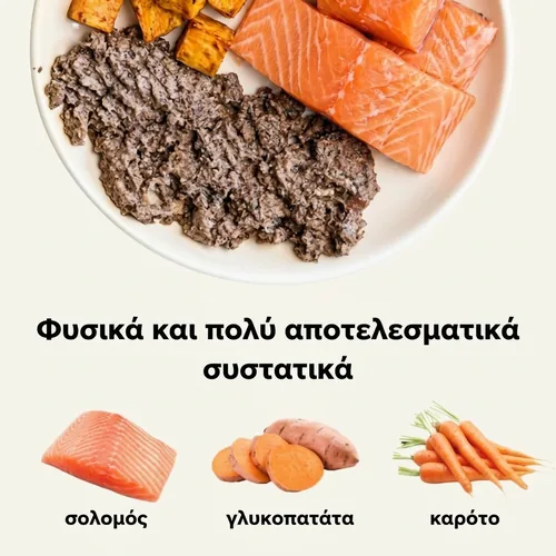 Ely Υποαλλεργική υγρή τροφή για σκύλους με σολομό – 410 g 2 Ely Υποαλλεργική υγρή τροφή για σκύλους με σολομό – 410 g - Εικόνα 2