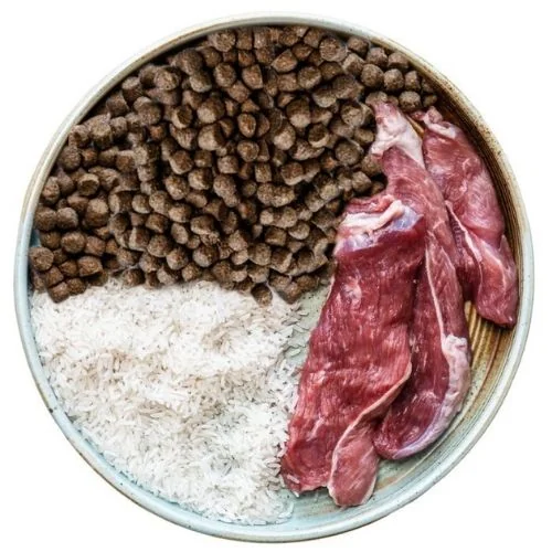 gr OB dog food