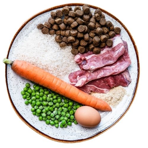 gr THB dog food