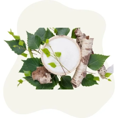 gr birch leaf