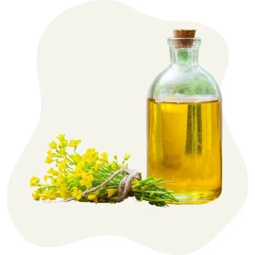 gr canola