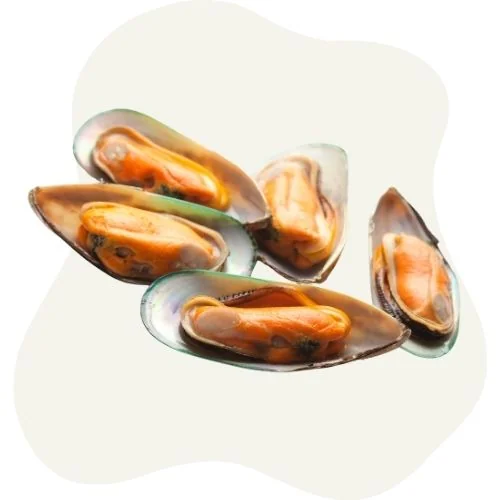 gr green lipped mussel