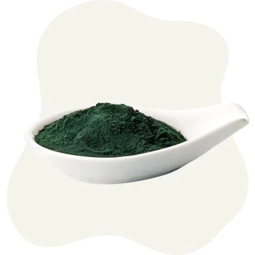 gr minerals