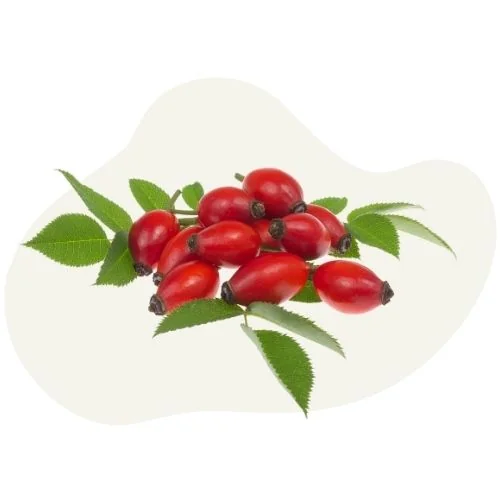 gr rosehip