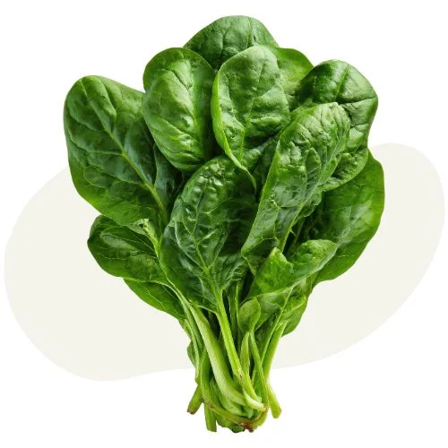 gr spinach