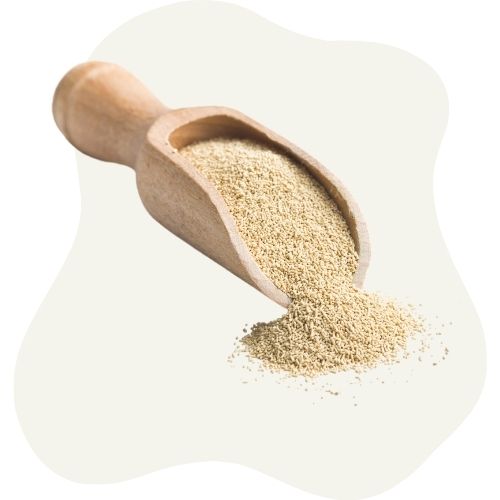 gr yeast