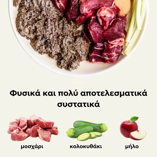 Ely Υποαλλεργική μοσχαρίσια υγρή τροφή για σκύλους – 410 g 2 Ely Υποαλλεργική μοσχαρίσια υγρή τροφή για σκύλους – 410 g - Εικόνα 2