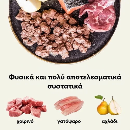 Ely υγρή τροφή για σκύλους με χοιρινό και γατόψαρο – 415 g 2 Ely υγρή τροφή για σκύλους με χοιρινό και γατόψαρο – 415 g - Εικόνα 2